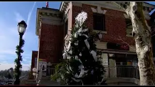 Westport Downtown Association hosts holiday tree tour