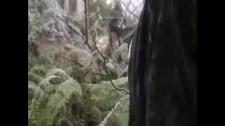 Attack of Skull Man in Black