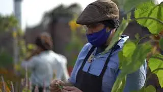 The Fair Finance Fund: A Social Finance Fund For Local Food and Farm Enterprises