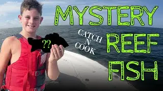 MYSTERIOUS REEF FISH: Catch and Cook (Trash Fish???)