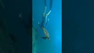 #life #adventure #learntodive #scubadiving #scubalife #underwater #divemask #freediving #scubagear