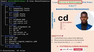 Linux for Bioinformatics: cd Command Explained (Episode 03)