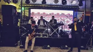 Banat Express || Instrumental || Ardeleana || ❗SHOW❗ || 2023 🎶