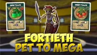 Wizard101: Training My Pet To Mega #40