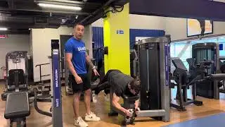 Mesa flexora 