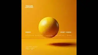 Dropa - I Felt You  (Original Mix) :: NCR030325 :: Newcode Records 2025.