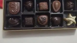 Godiva Chocolatier Assorted Chocolate Gift Box Review