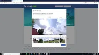 360Rize 360Penguin Using the Facebook Director Tools