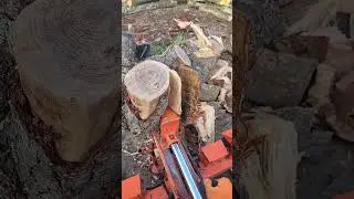 Wallenstein Mini Log Splitter Is a beast 💪
