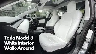 Tesla Model 3 White Interior Walk-Around