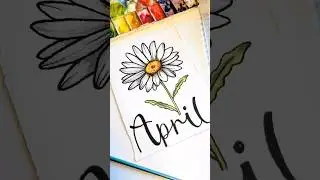 What is April's Birth Month Flower?? 🌼 #Art #Daisy #Watercolor #Shorts