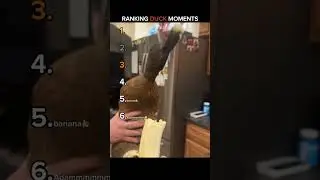 Ranking Duck Moments 🦆