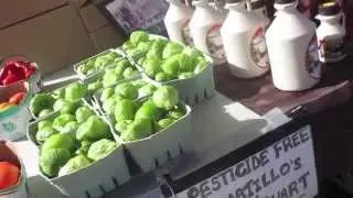VLOG | Blue Cat in the Farmers' Market