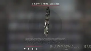 CS mid game knife unbox