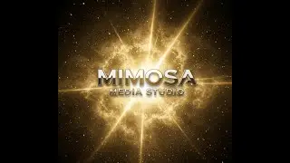 Mimosa Media Studio | Book Trailers, Podcast Production & Luxury Real Estate Media