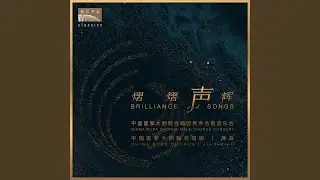 水手合唱（选自歌剧《漂泊的荷兰人》） (&ldquo;Steuermann! Lass die Wacht!&rdquo; from...