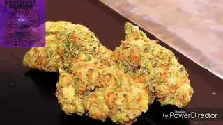 EVILKU$H420 FUCK TRASH WEED GET SOME DANK