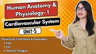 Cardiovascular System | Unit-5 | HAP - 1 | B.Pharma 1st semester