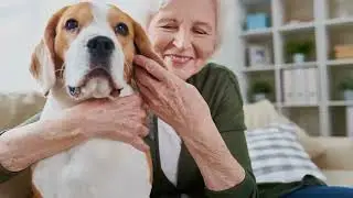Emotional support pets: experts warn of animal welfare risk