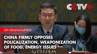 China Firmly Opposes Policalization, Weaponization of Food, Energy Issues: Chinese Envoy