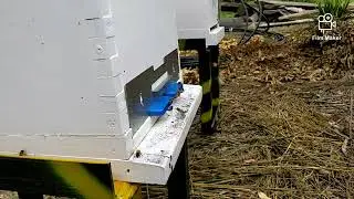Hive gate inspection