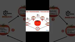 The Pomodoro Technique - How To Train Your Brain To Focus