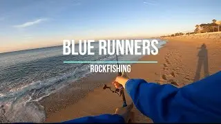 Blue runners al Maresme! Espècie nova! Rockfishing!