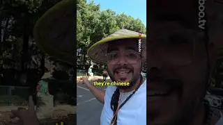 How Immigration in China Works 🇨🇳