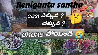 Renigunta santha full information #trending #renigunta #market #shopping #dryfishmarket #viralvideo