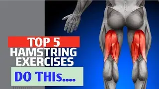 The 5 Best Hamstring Exercises | Perfect Hamstring Workout