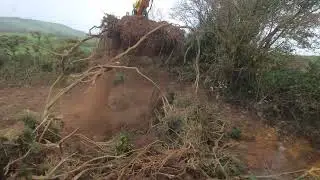 Jcb 145 Track Machine Loading 810 Class and Broughan 20T 2