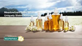 Meadowfoam Seed Oil - A Uniquely Stable Natural Oil for Personal Care Products