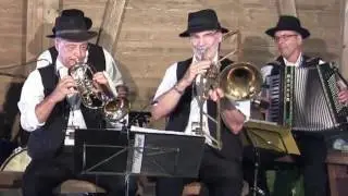 Die Buchgrabler beim Woodstock der Blasmusik 2017 spielen die Polka 