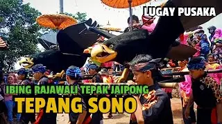 TEPANG SONO || Ibing Rajawali Tepak Jaipong || Lugay Pusaka