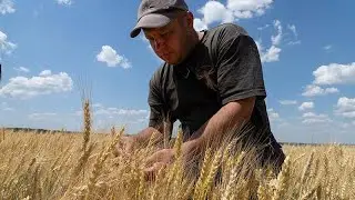 Ukraine and Russia sign vital grain export deal in Istanbul