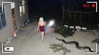 🔥 Я Бы И Сам Не Поверил, Но Это Видео Удалось Снять На Камеру  Только Лучшее 2025