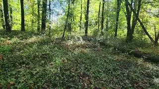 147 Rocktown Rd, Ringoes, NJ | 360&deg; Property View
