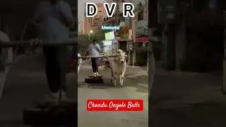 dvr memorial