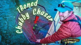 Наши новые приманки ловят рыбу &mdash; больших мускусов и толстых косточек!