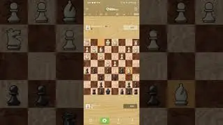 Chess video 