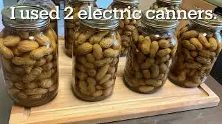 Canning boiled peanuts 
