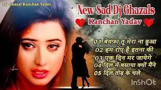 Hindi Lofi DJ Remix | Sad One Side Love 💔 | Slow & Reverb | Chill Mix | Heart Touching Lyrics 2025