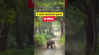 Top 5 Best National Park in India🌎 #park #nationalpark #travel #youtube #shortsvideo #youtubeshorts