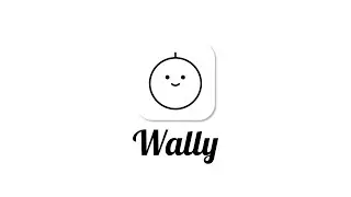 Wally : Financial Management App on Android