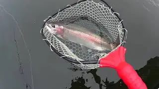 Dragon Lake, BC - Spoon Fishing for Rainbows