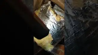 Crawlspace moisture fungus and rot nightmare!