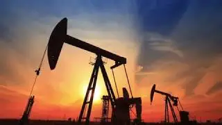 Crane and Heavy Equipment Rental in UAE