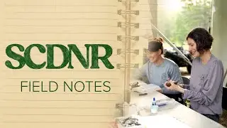 SCDNR Field Notes: Bird Banding