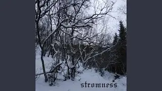 Vintersolverv