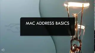 MAC Address Basics
